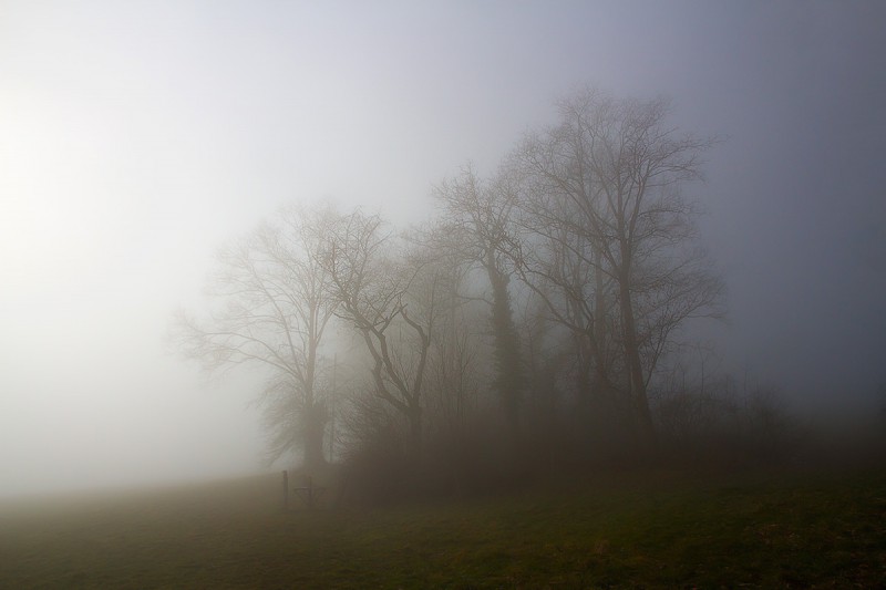 Day and night in fairy land