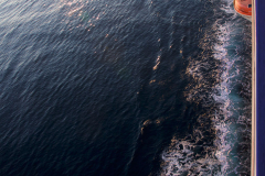 Cruise speed