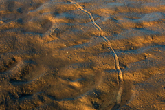 Essential motivation