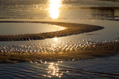 Beauty flows in circles