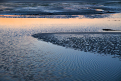 A wedding dance of color and form