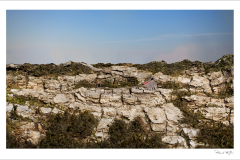 AMOS_010_1200