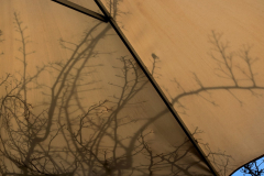 UmbrellaSky_1400