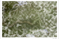 amos_011_800