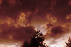 Dragons in the sky