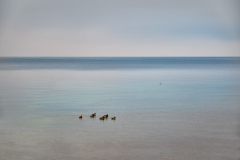 Floating moment #733