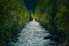 Focus on my path