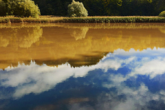 Fribourg Waters 3