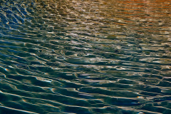 Into the stream of life