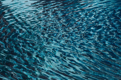 In the middle of the stream of life