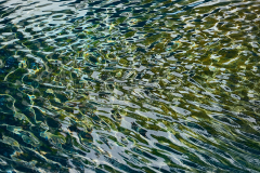 In the stream of life #3