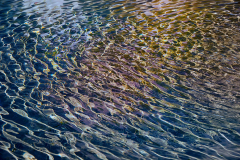 In the stream of life #4