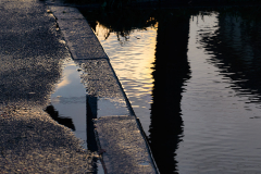 Kissed by the sunset