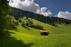Lenk-Boden