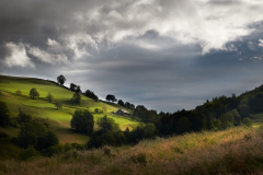 Let it sink into the craddle