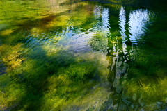 Monet's legacy - Elfenau #25
