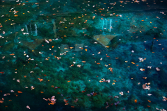 Of dreams and thoughts