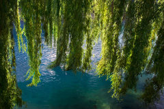 The pillars of life