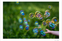 Reach into the dreams