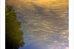 scentoftheevening_900