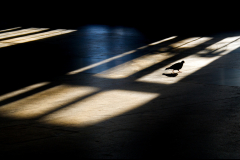 shadowandlight_1400