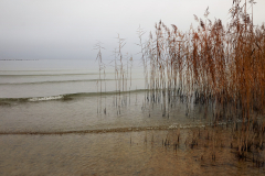 Silence, space & time