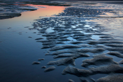 The skeleton of beauty