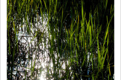 traces_151_900