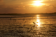 Transcendent Encounter (Traces #312)