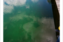Transient traces