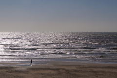 whereibelong_1400