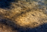 Leben im Fluss