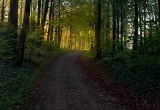 Ominotago 0036 - The path