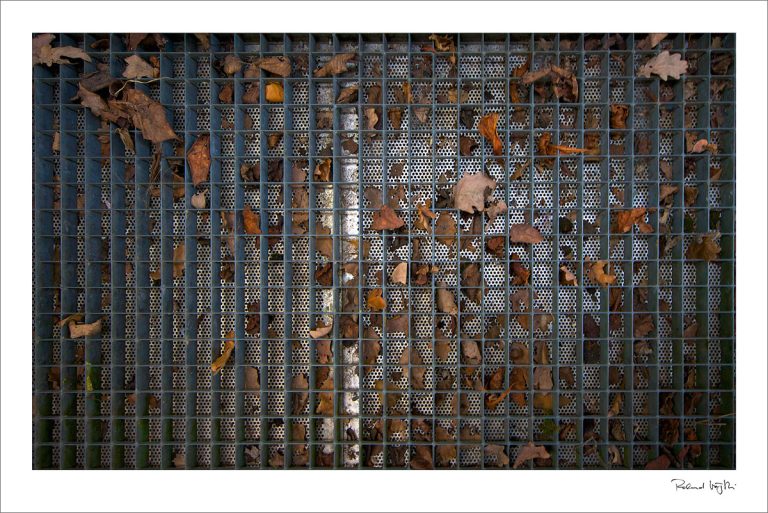 Ganz unten  |  Trampled upon