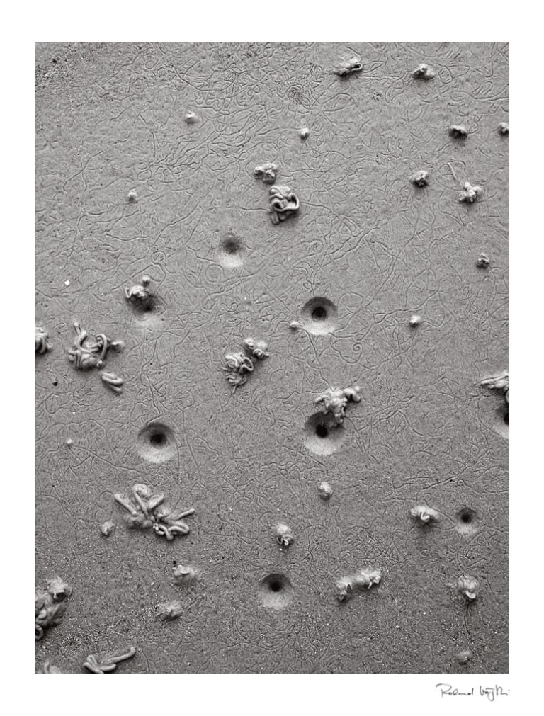 Transient artwork | vergängliche Kunst