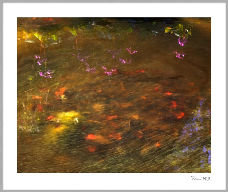 Schwebende Träume | Floating dreams