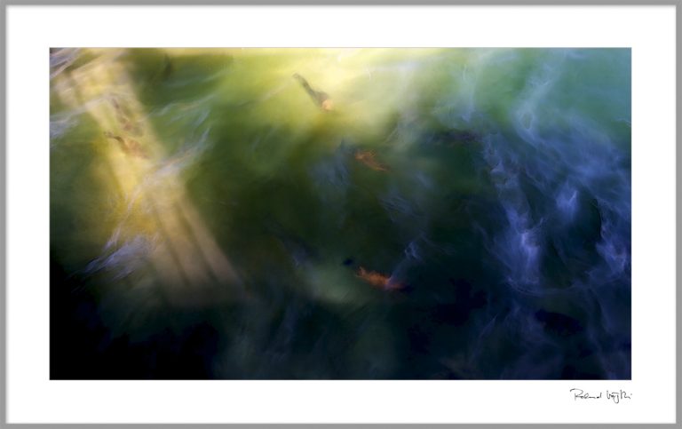 Profound encounter | Tiefgründige Begegnung