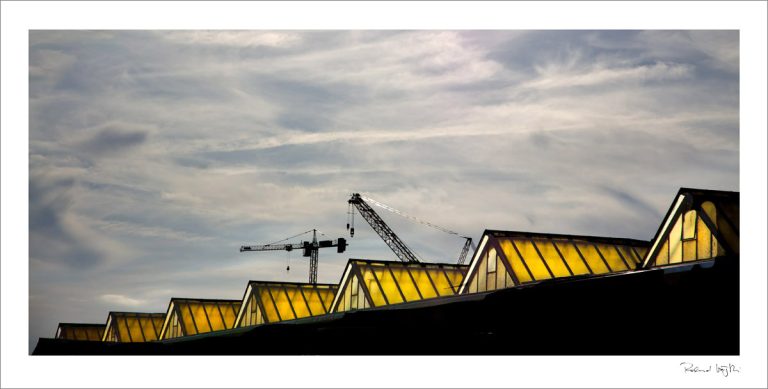 Sieben Prinzen | Seven Princes