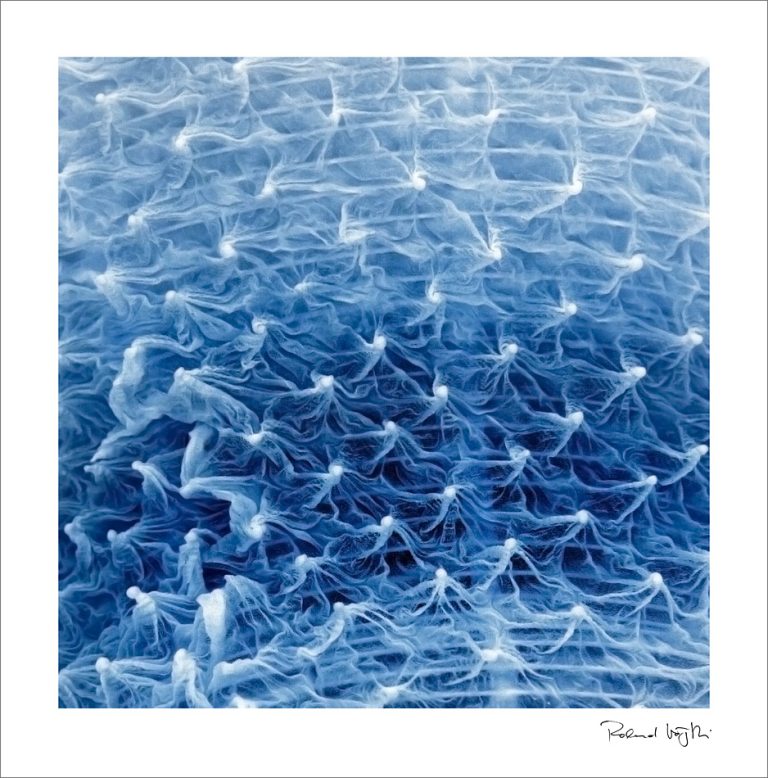 The dance of the elves