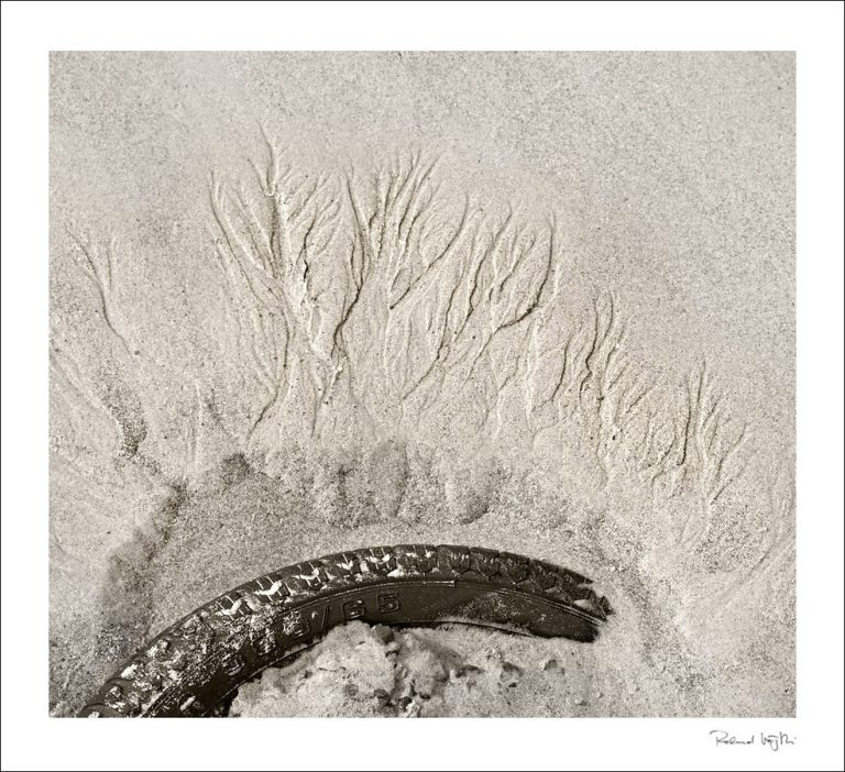 Fordlândia – the reclaiming