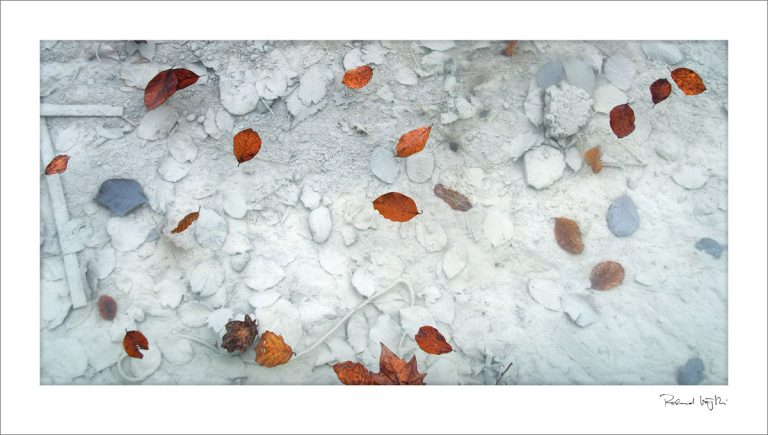 Layered generations | Generationengewebe