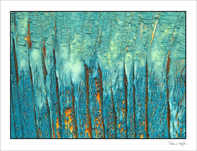 Der Kreuzzug | The crussade