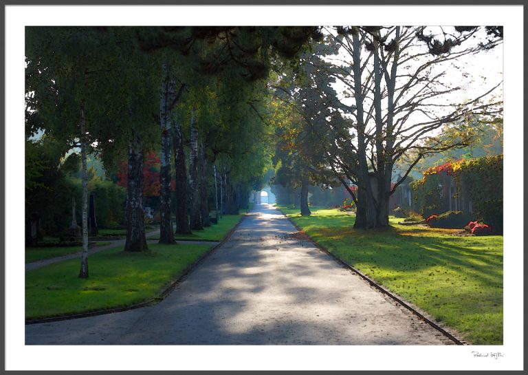 Towards the gate :: Bremgartenfriedhof