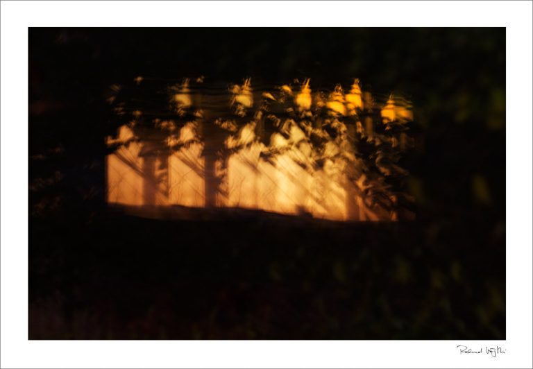 Faces of a window #2