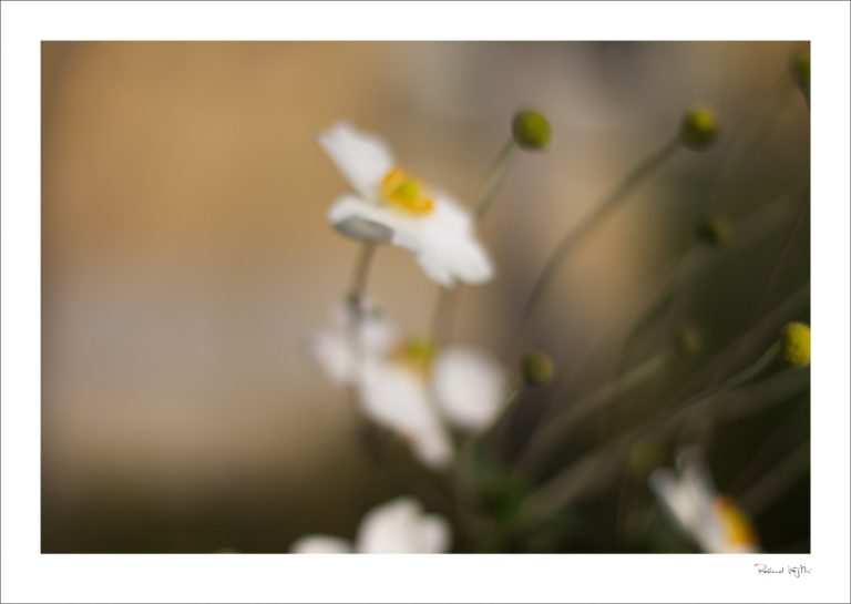 Get to know  | Kennen lernen