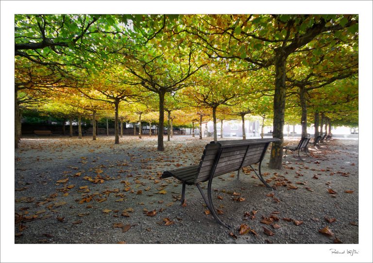 Autumnal invitation  | Herbstliche Einladung