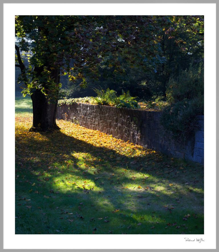 Reign of colors  |  Die Zeit der Farben