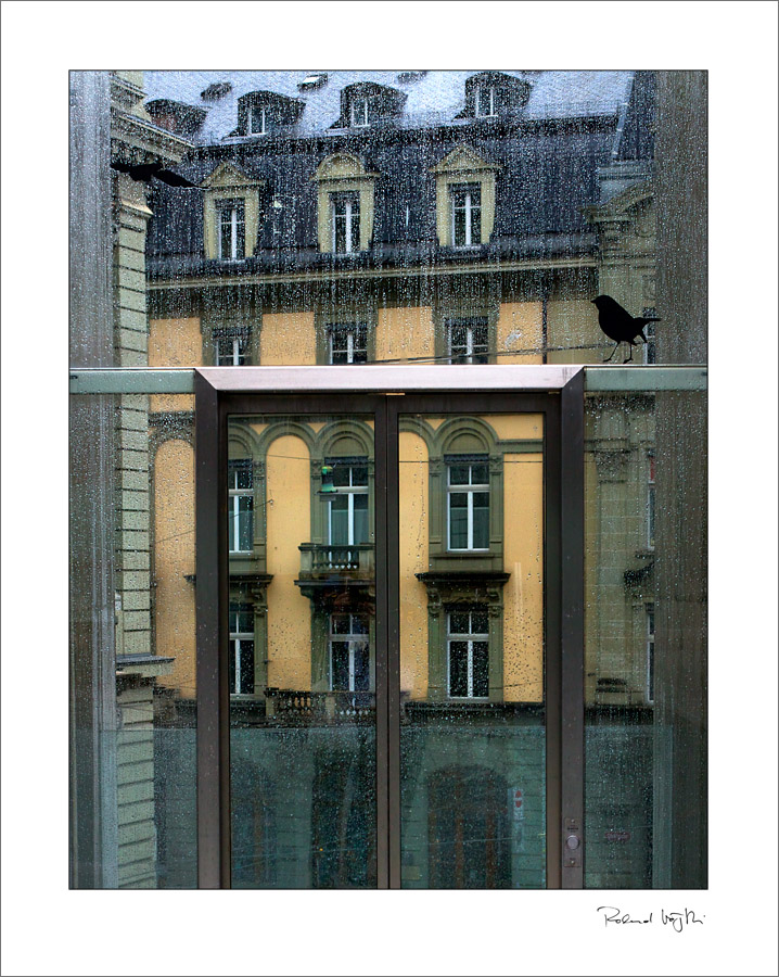 See through  |  Durchblick