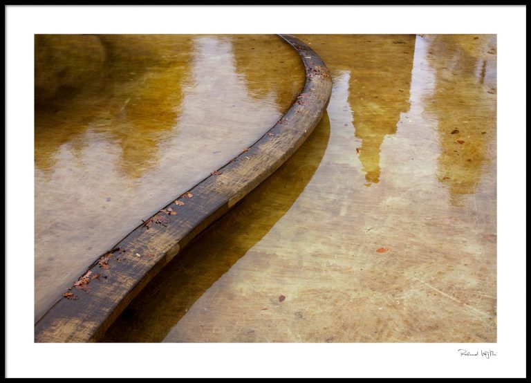 Swing of autumn  |  Herbstschwung