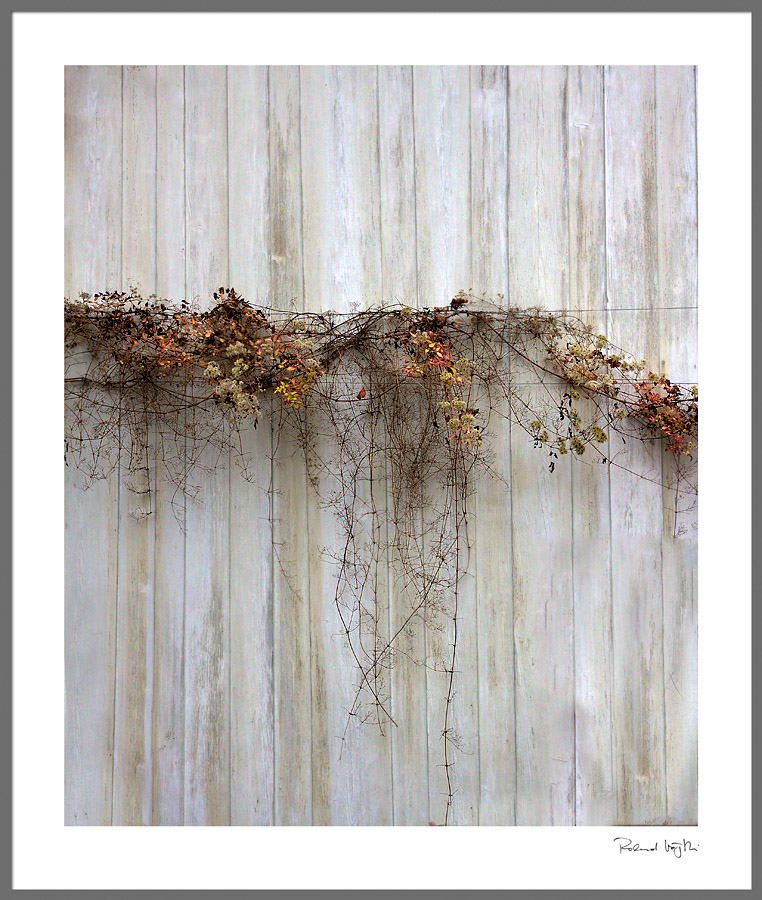 Woven thoughts  |  Gedankengewebe